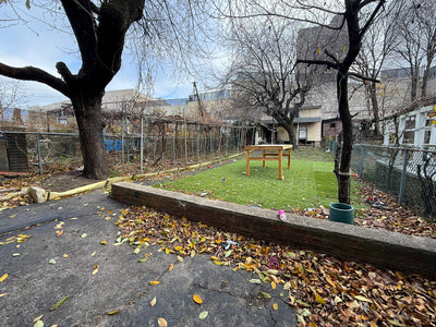 2492 Cambreleng Ave, Unit 1 photo 4